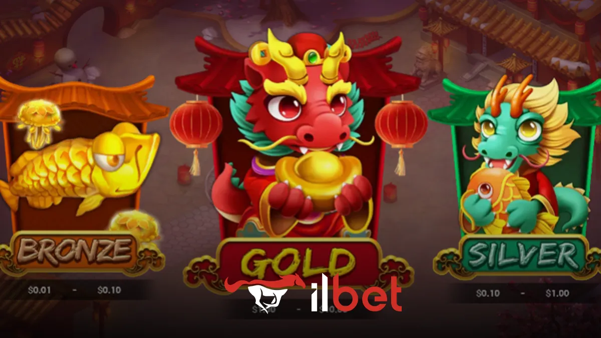 İlbet Dragon Boom oyunu
