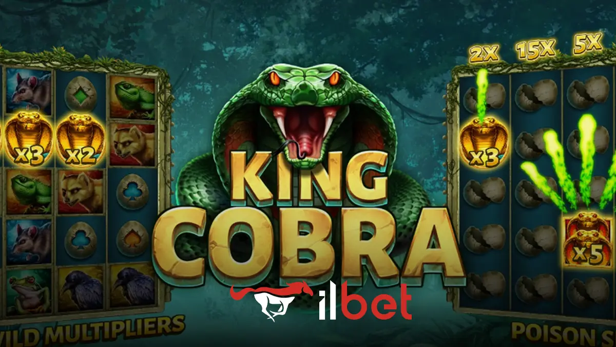 İlbet King Cobra oyunu