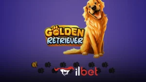 İlbet Golden Retriever oyunu
